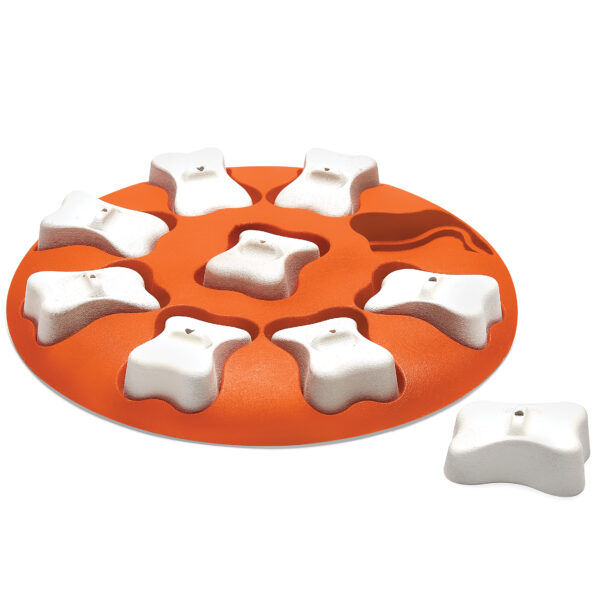 Nuputamismäng Dog Smart oranz