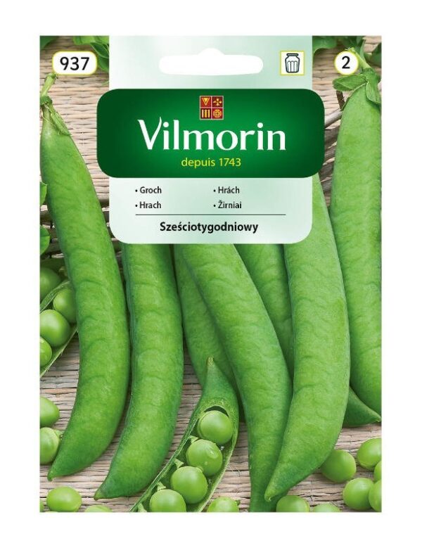 Aedhernes 'Szesciotygodniowy'