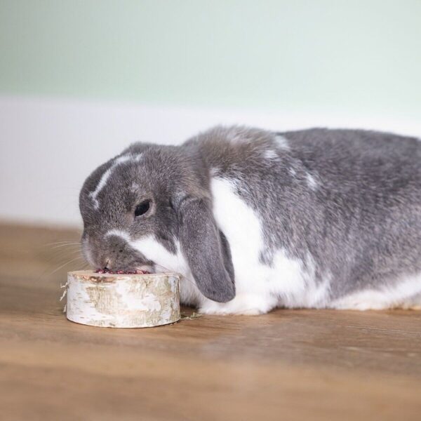 Närilise maiustus puitketas peediga