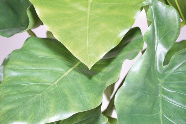Kunsttaim Alocasia 60cm roheline