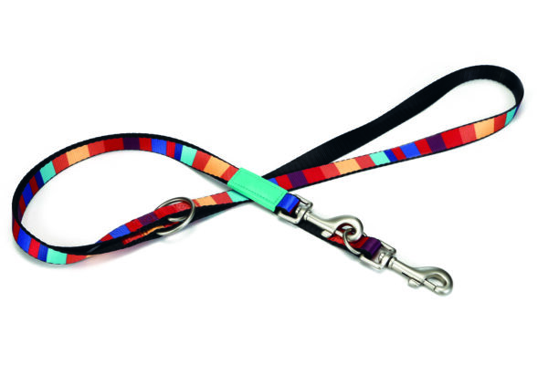 Beeztees treeningrihm koerale 200cm x20mm triibuline nailon linio