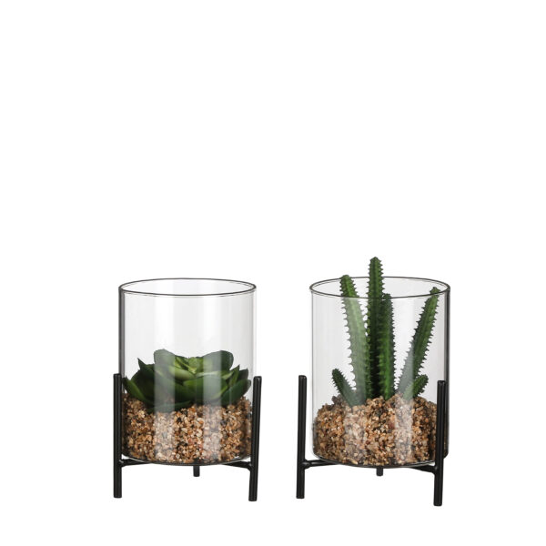 Kunstsukulent klaasis 1tk h15xd13cm