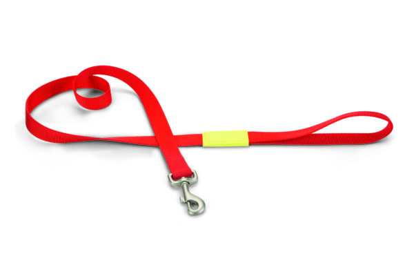 Beeztees rihm koerale 120cm x25mm punane universaalne nailon