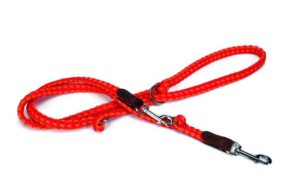 Beeztees treeningrihm koerale 200cm x20mm punane/oranz