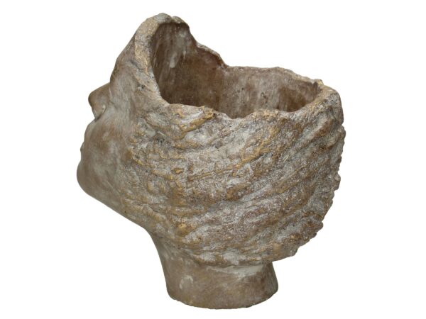 Lillepott nägu 19x15x19cm kuldne