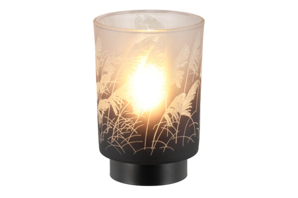 LED lamp Hay Ø10x h14,5cm erinevad,1tk patareidega