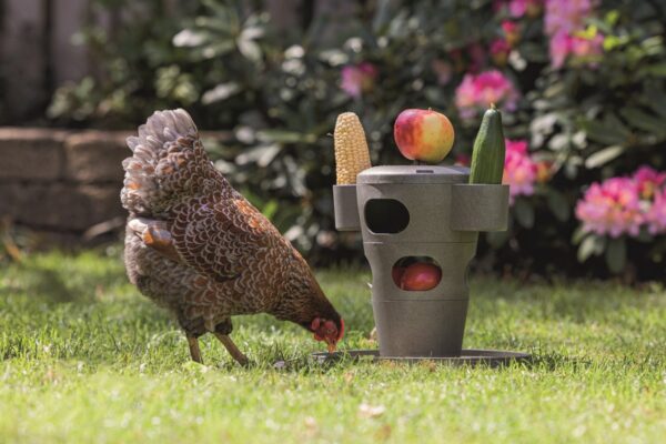 Beeztees sööginõu kanadele 30x30x32,5cm hall