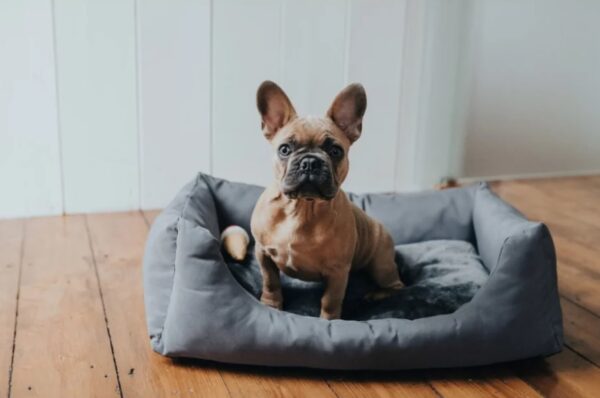 Pesa Ravina 80x60cm hall