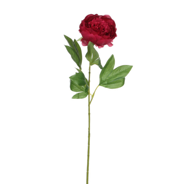 Pojeng t.roosa l76cm