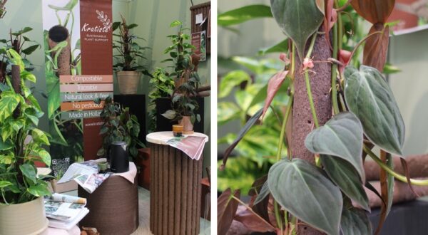 Biolagunevad klambrid ronimistoele 15tk/pk