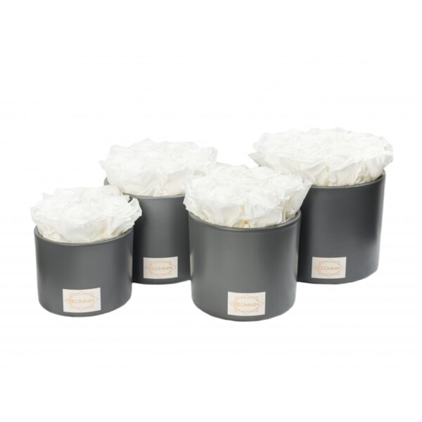 BLUMMIN tumehall keraamika WHITE 7 roosiga