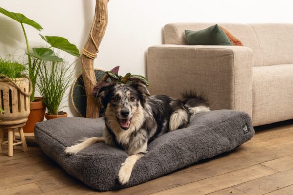 Pesa Don tumehall 100X70X16