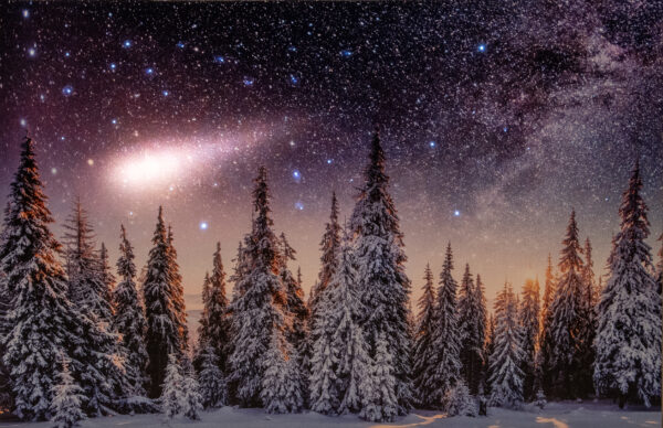 Seinapilt 3LED lumine mets 58x38x1,8cm pat.