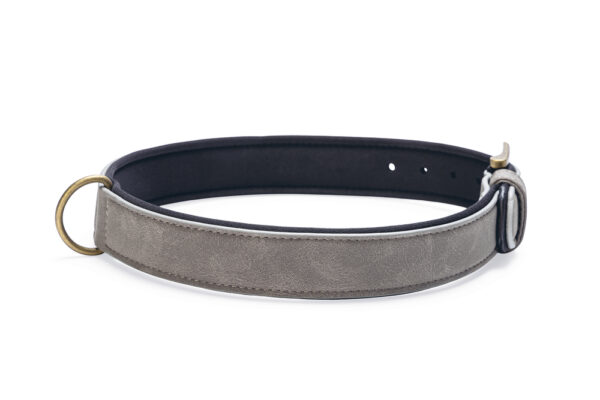 Kaelarihm Beeztees koerale AX 52-62x3cm hall