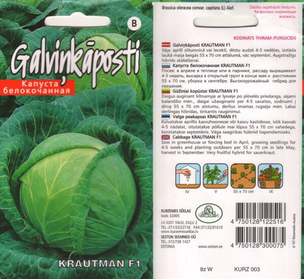 Valge peakapsas 'Krautman F1'