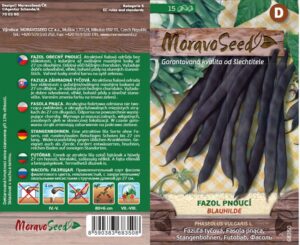 Aeduba ‘Blauhilde’