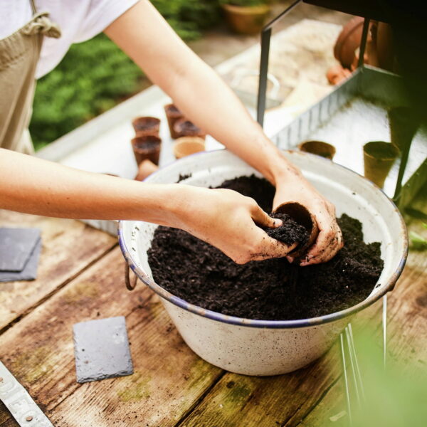 Compo külvi- ja maitsetaimede muld BIO 20L