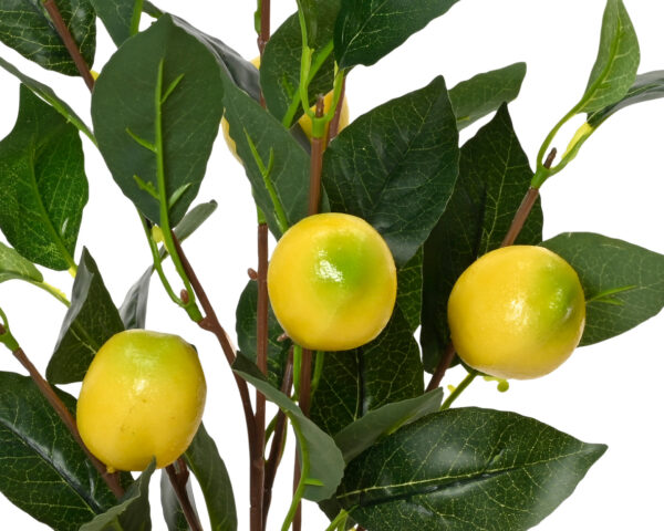 Sidrunipuu potis 17x15x h45cm roheline