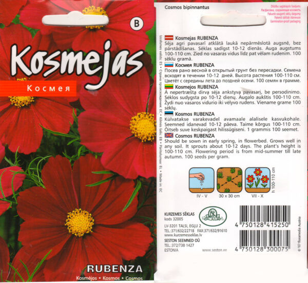 Kosmos 'Rubenza'