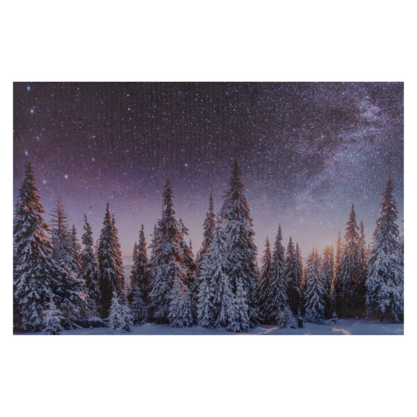 Seinapilt 3LED lumine mets 58x38x1,8cm pat.