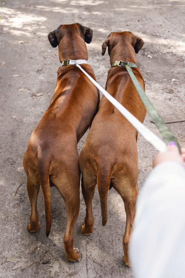 Jalutusrihm VELURA hall 120X2,5cm