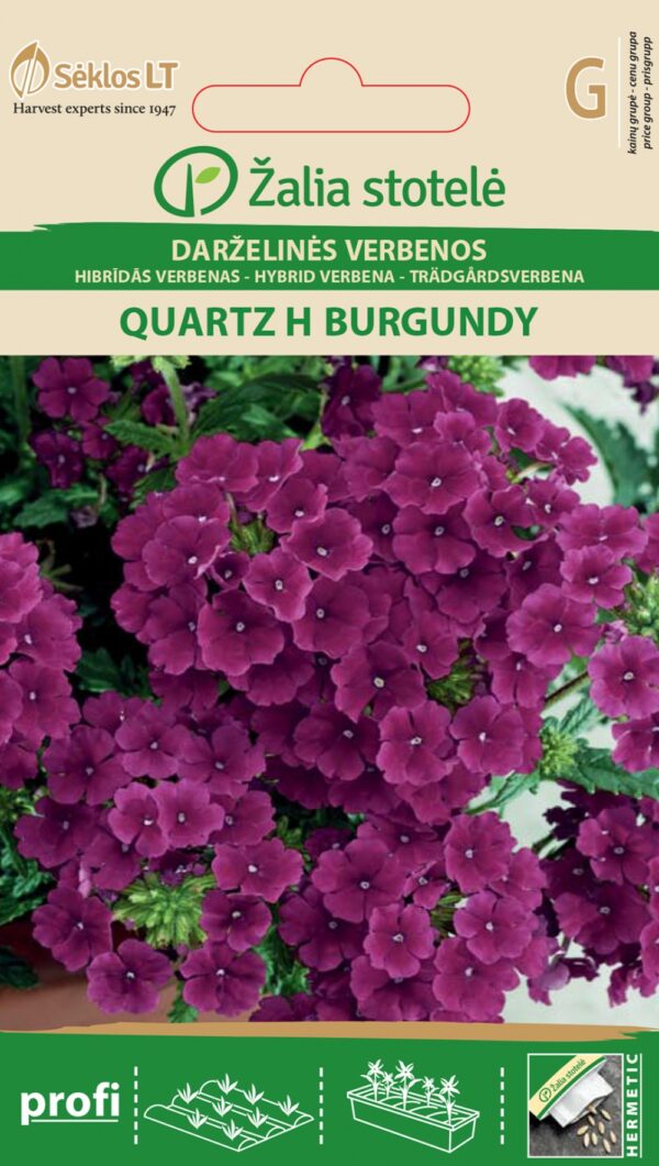Iluürt 'Quartz H Burgundy'