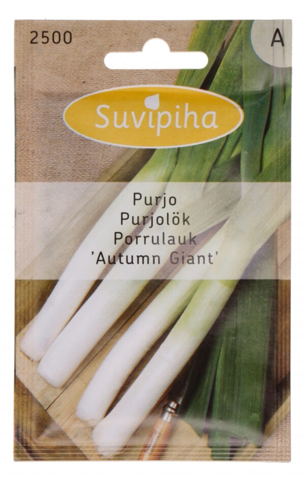 Porrulauk 'Autumn Giant' 145s