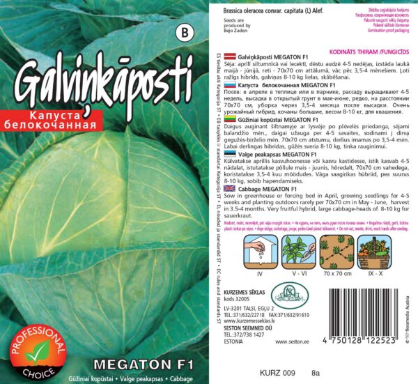 Valge peakapsas 'Megaton' F1 30s