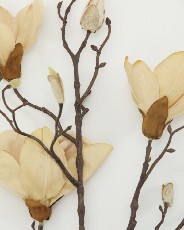 Kunstlill Magnoolia 85cm beež