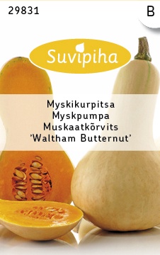 Muskuskõrvits ‘Waltham Butternut’