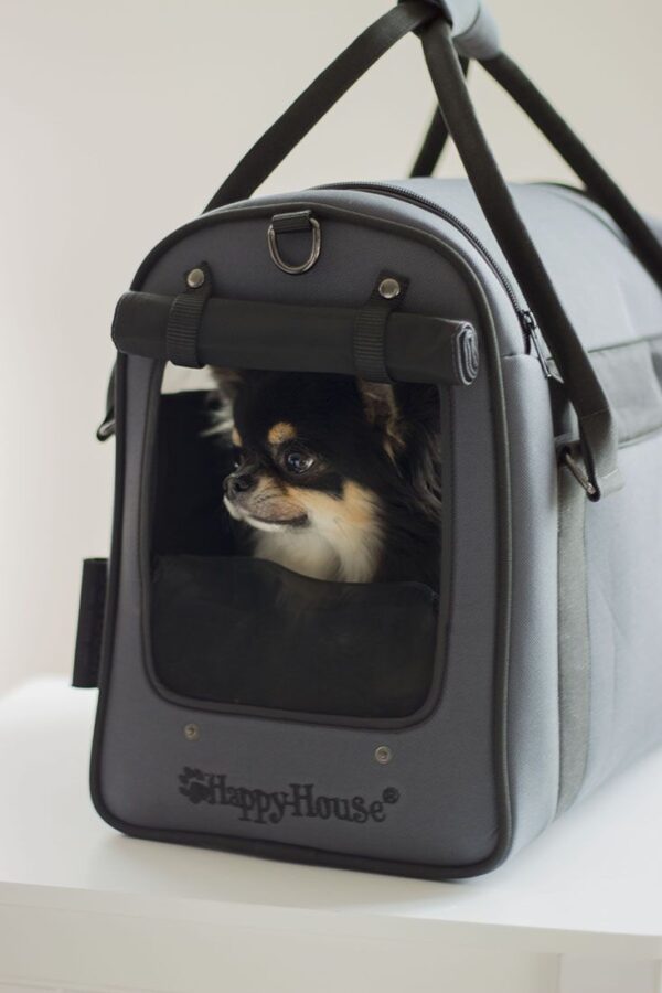 Lemmiklooma kandekott 40x20x30cm hall