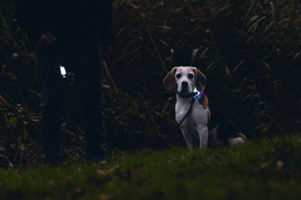 Kaelarihm Prem parnica 35-40x2cm must