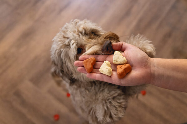 Koeramaius BZ südamed mix 400g