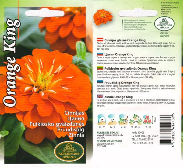 Pruudisõlg 'Orange King'