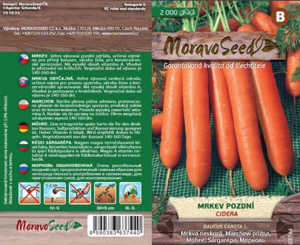 Porgand 'Cidera' 2000s