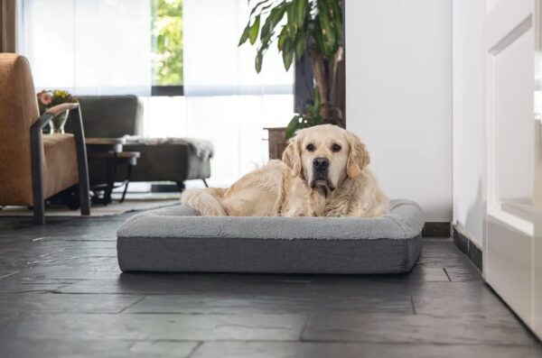 Pesa Yura 100x70cm hall