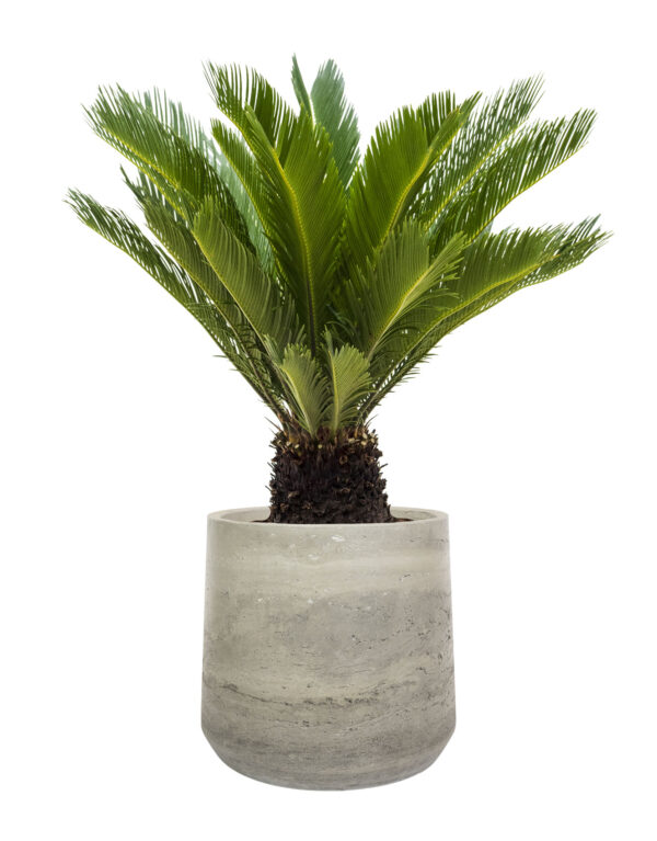 Lillepott Aniek 34 x 30cm