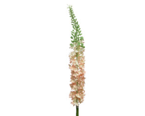 Kunstlill Eremurus 8x8x108cm roosa