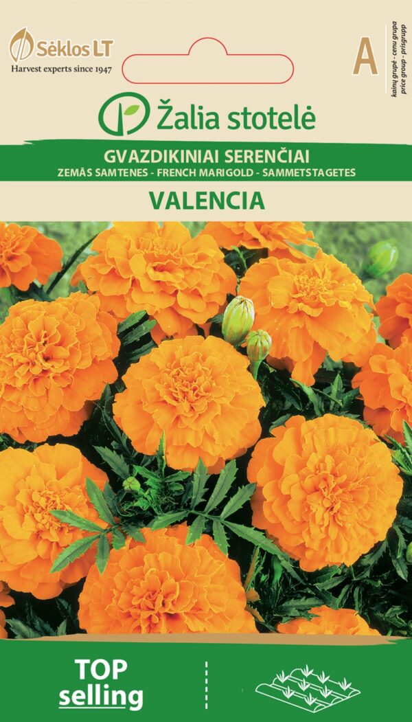 Madal peiulill 'Valencia'