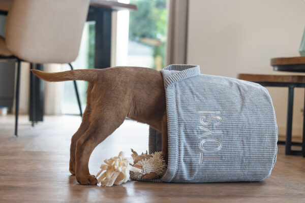 Korv mänguasjadele Toys 30x30x30cm hall