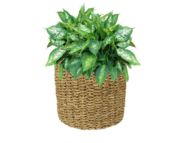 Punutud korv Ido kile sisuga 13x15cm pru