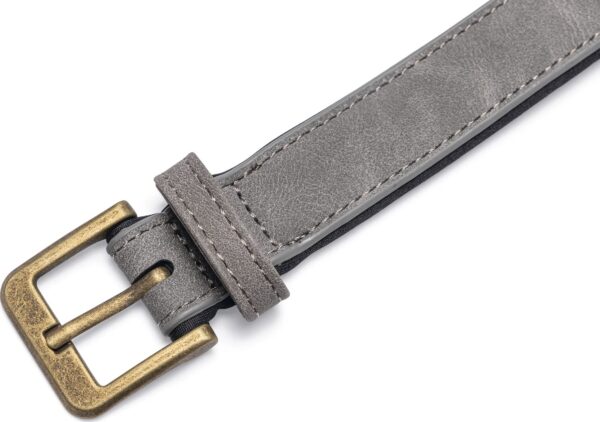 Kaelarihm Beeztees koerale AX 38-48x2,5cm hall