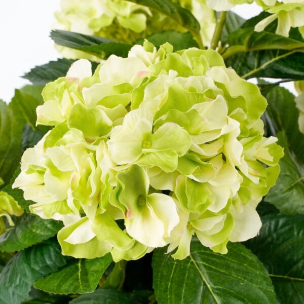 Kunstlill hortensia potis h45x d45cm kreem