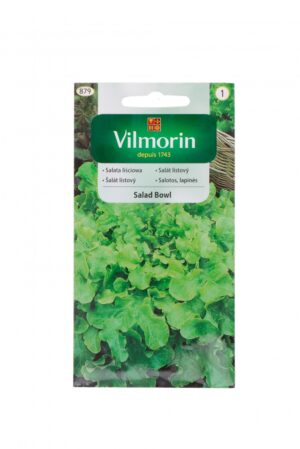 Lehtsalat ‘Salad Bowl’