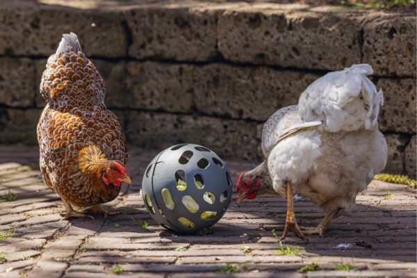 Beeztees snäkipall kanadele 15cm hall