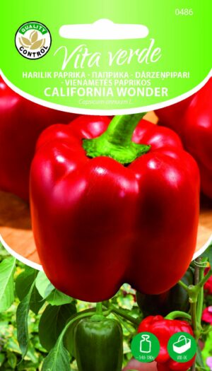 Magus paprika ‘California Wonder’ punane