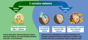 Roosiväetis Osmocote Substral 300g