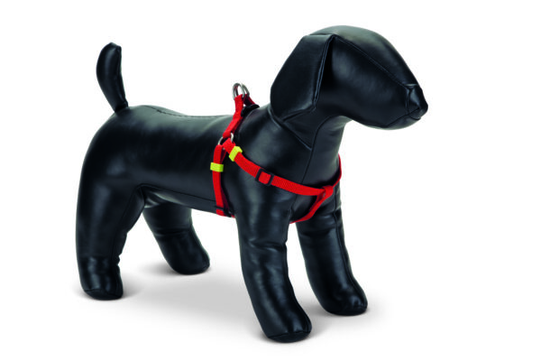 Beeztees rakmed koerale 35-60cm x15mm punane universaalne nailon