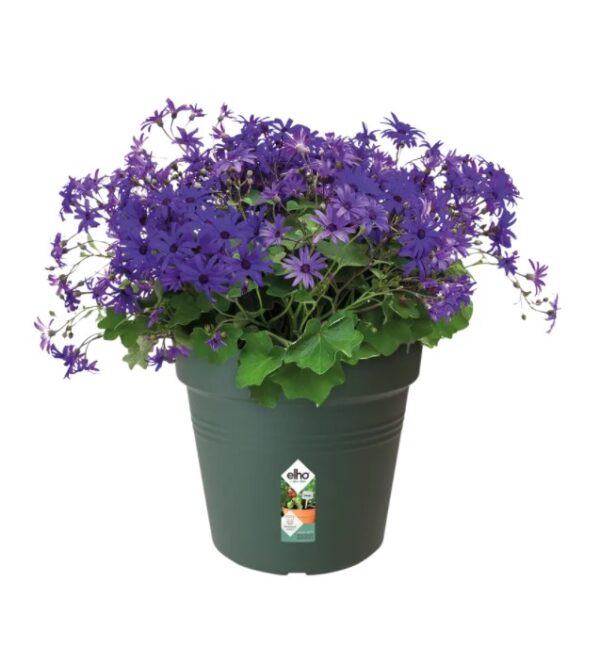 Istutuspott Green Basics 19x17cm roheline