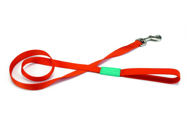 Beeztees rihm koerale 120x20cm oranz universaalne nailon